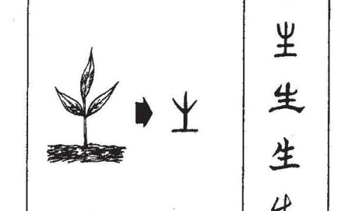 指甲螺的吃法-指甲螺有毒性吗-指甲螺可以吃吗安全吗,中国指甲螺的有什么营养网站
