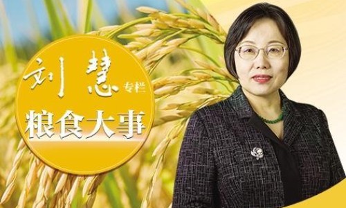 指甲螺的学名-指甲螺有毒性吗-指甲螺可以吃吗安全吗,中国指甲螺的有什么营养网站
