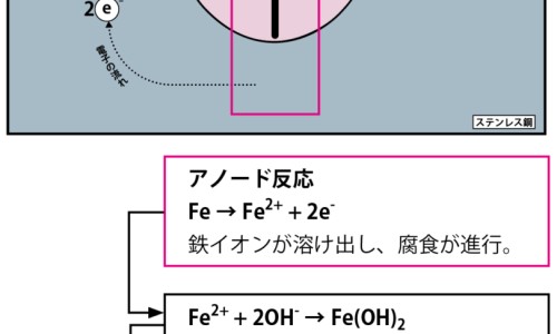 指甲螺的学名-指甲螺有毒性吗-指甲螺可以吃吗安全吗,中国指甲螺的有什么营养网站