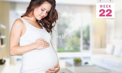 指甲螺有毒性吗-指甲螺可以吃吗安全吗,中国指甲螺的有什么营养网站